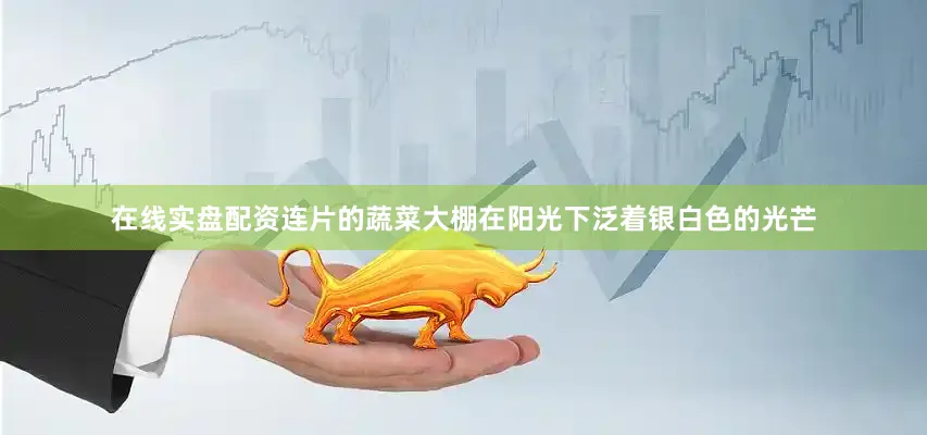 在线实盘配资连片的蔬菜大棚在阳光下泛着银白色的光芒