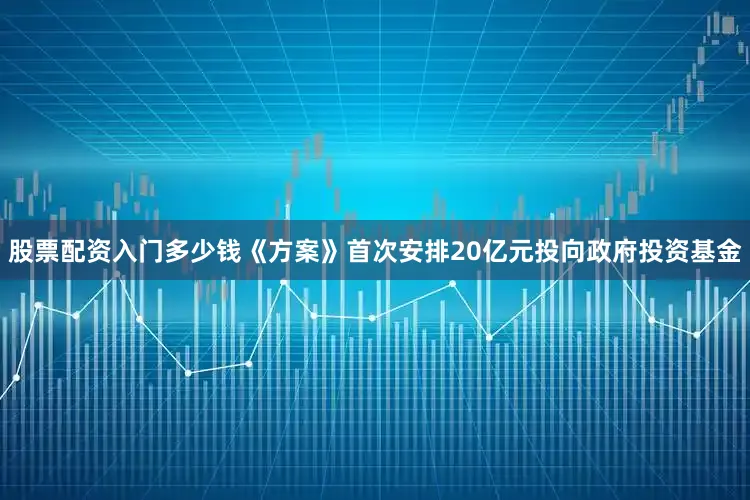 股票配资入门多少钱《方案》首次安排20亿元投向政府投资基金