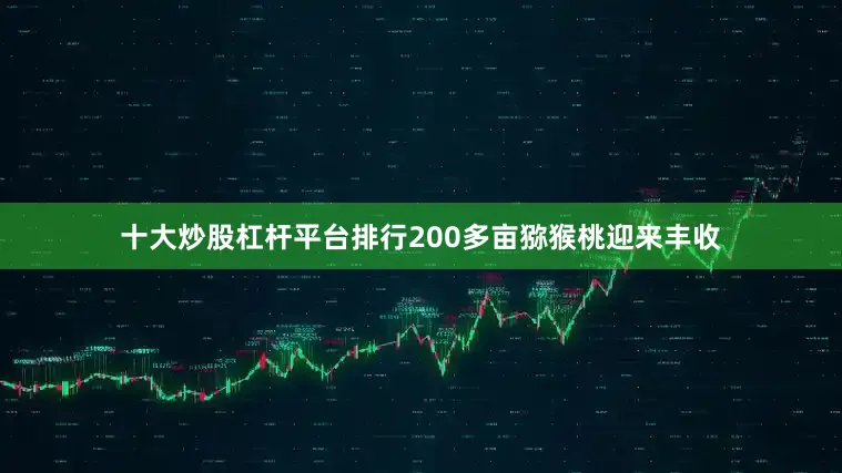 十大炒股杠杆平台排行200多亩猕猴桃迎来丰收
